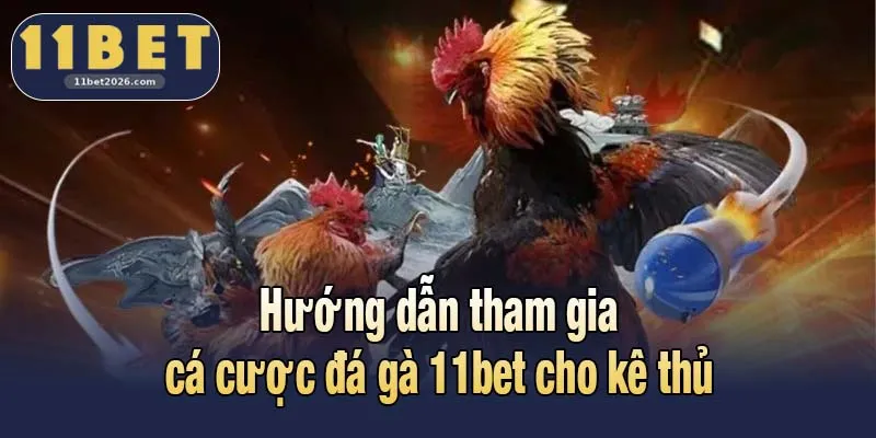 Đá Gà 11bet - Điểm Đối Đầu Nảy Lửa Của Giới Kê Thủ 3 Hướng dẫn tham gia cá cược đá gà 11bet cho kê thủ