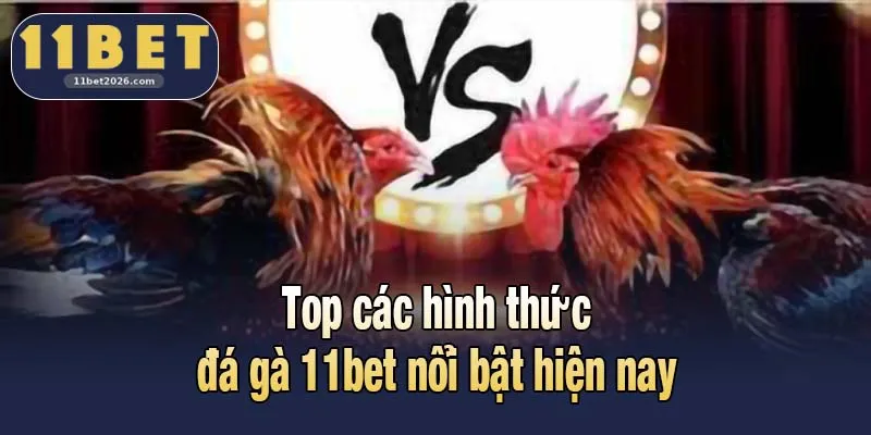 Đá Gà 11bet - Điểm Đối Đầu Nảy Lửa Của Giới Kê Thủ 2 Top các hình thức đá gà 11bet nổi bật hiện nay